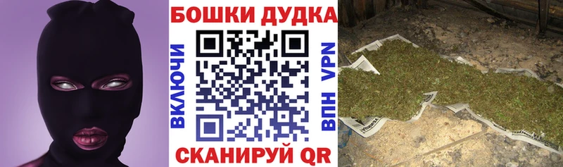 Купить где  Щёлкино  Канабис ГИДРОПОН 